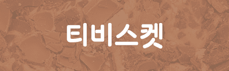 Sandoll 티비스켓